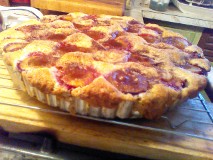 plum tart