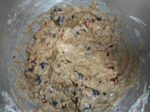 blueberry muffins  turkey soup 007