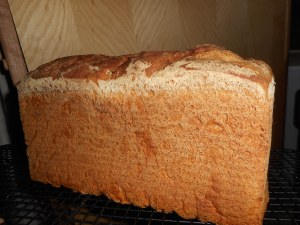 chickpea soup, salad, bread 014
