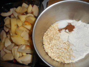 yogurt and apple crisp 006