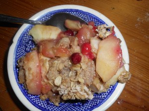yogurt and apple crisp 011