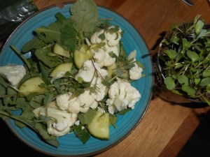 kale and micro greens 024