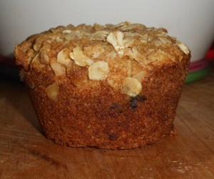 muffin close up 002