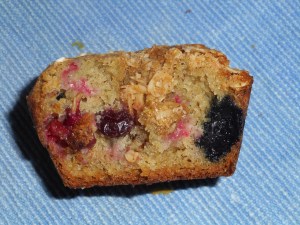 turkey meatballs, cranberry blue muffins 004