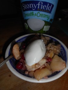 yogurt and apple crisp 028