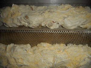 fennel italian bread 008