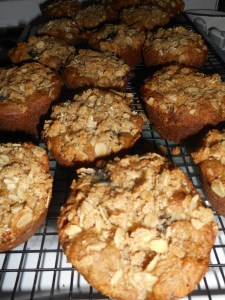 blueberry muffins, flowers 018