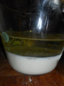 citrus chicken, blueberry muffins 003