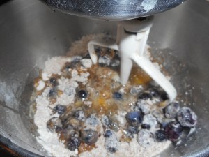 citrus chicken, blueberry muffins 005