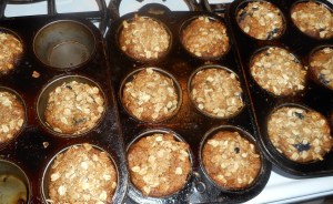 citrus chicken, blueberry muffins 007