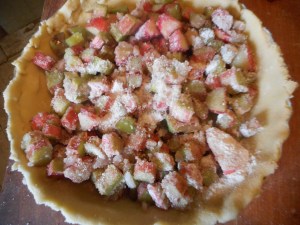 rhubarb pie, ginger stir fry, salmon with peas 041