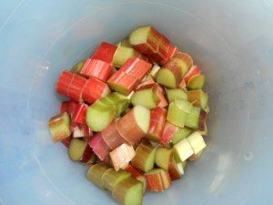 strawberry rhubarb pie 005