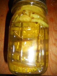 lemon chicken and pickles 002