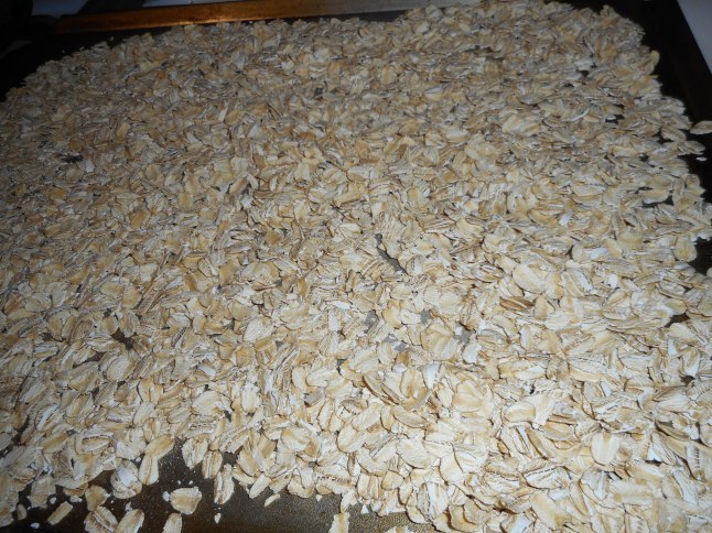 2014 november oatmeal 009