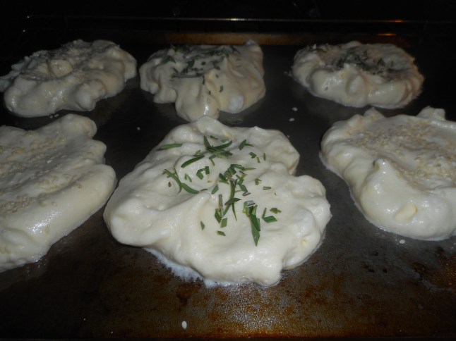 shoe fly pie, hash 010