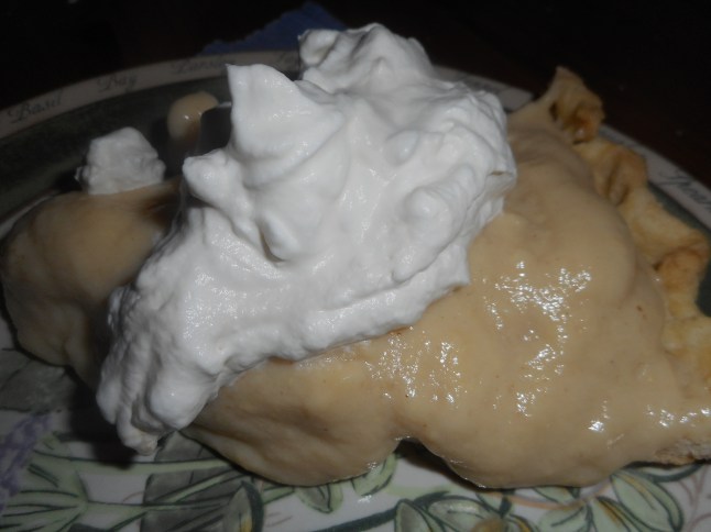 curry, shepherds pie, banana cream pie 029