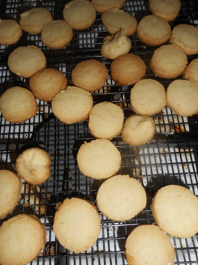 micro greens, orchids, lemon coolers 004