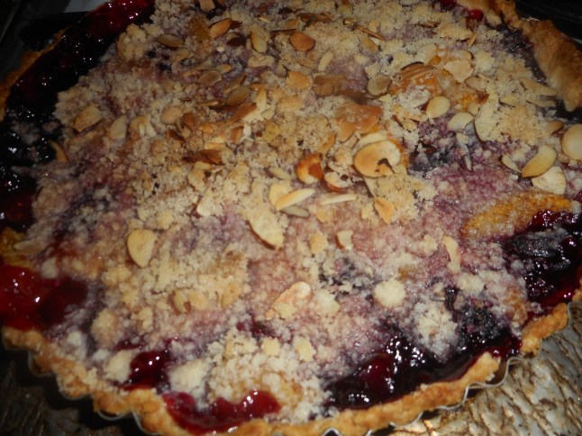 pulled pork tacos and berry berry tart 007