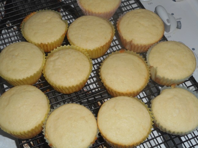 rhubarb bars 018.JPG