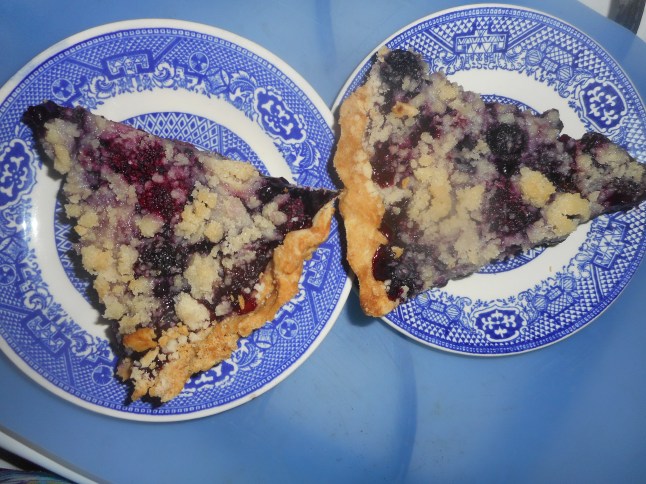 cherry berry pie 005