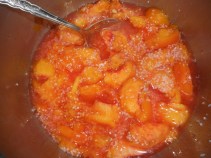 mass upload 8-22-16 559