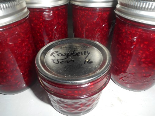 raspberry jam 013.JPG