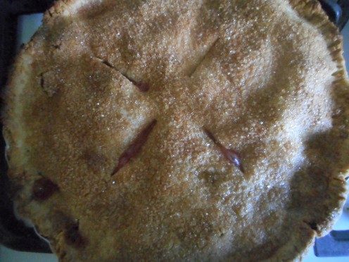 rhubarb-frangipani-pie-005