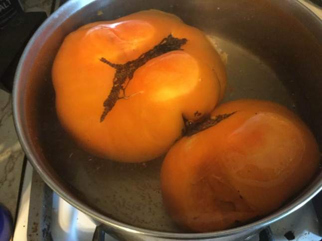 golden tomatoes in pot