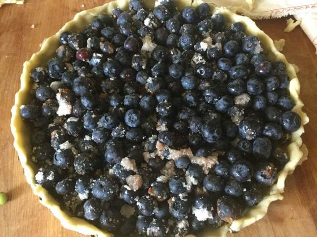 blueberry tart, untopped