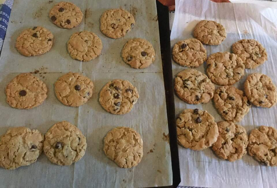 chocolate chip oatmeal cookies