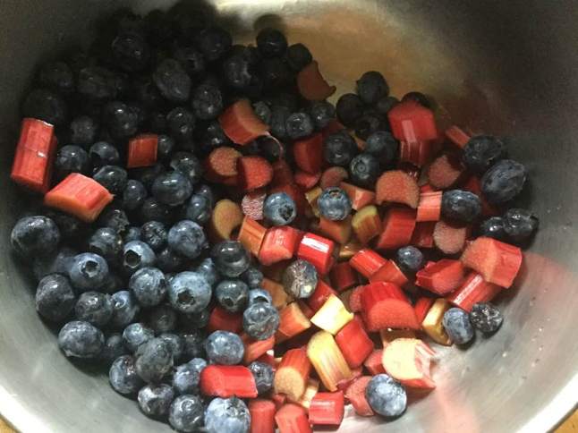 blueberries and rhubarb