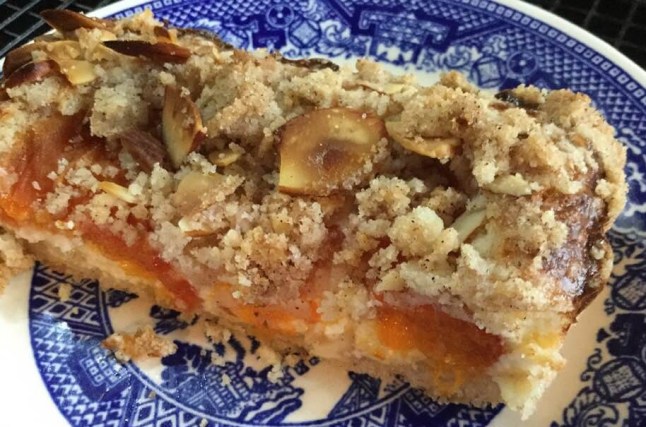 apricot tart slice2