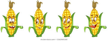 corn2